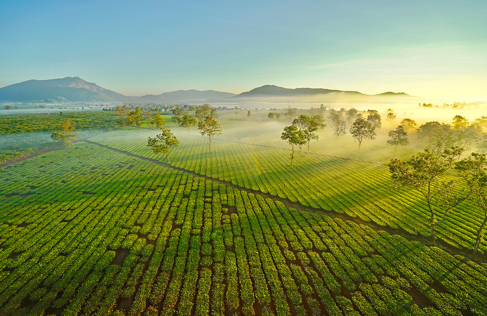 BUÔN MA THUỘT - PLEIKU