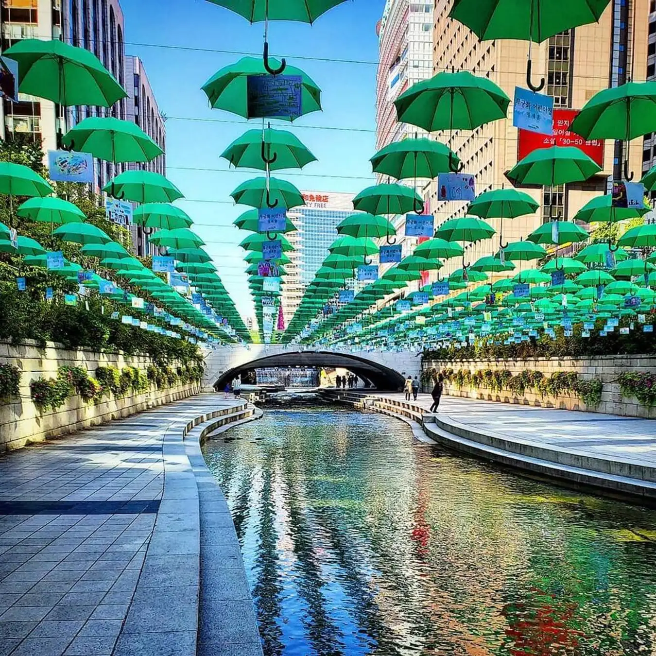 SEOUL – SAUNA – NAMI – HÁI DÂU – EVERLAND – CÔNG VIÊN YEOUIDO #5